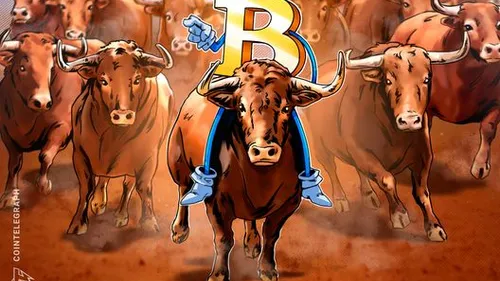 Imagem notícia de Cointelegraph