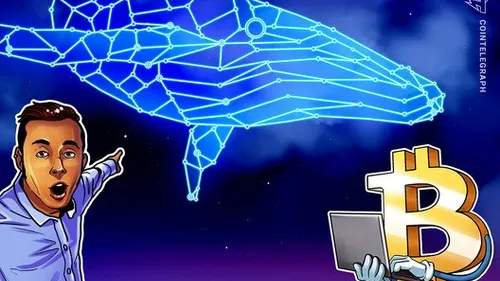 Imagem notícia de Cointelegraph