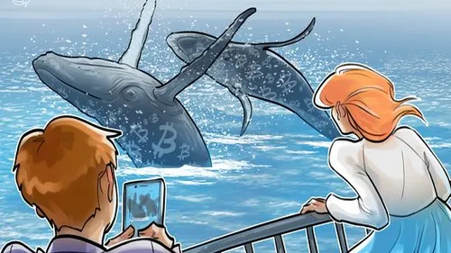 Imagem notícia de Cointelegraph