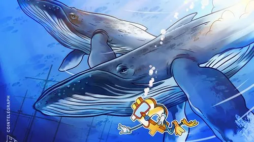 Imagem notícia de Cointelegraph