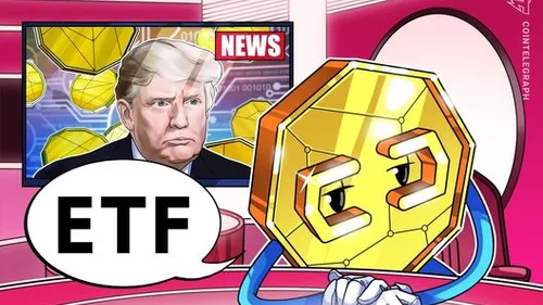 Imagem notícia de Cointelegraph
