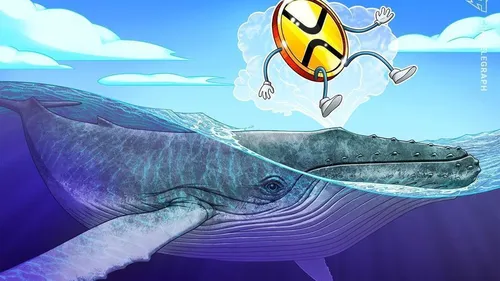 Imagem notícia de Cointelegraph