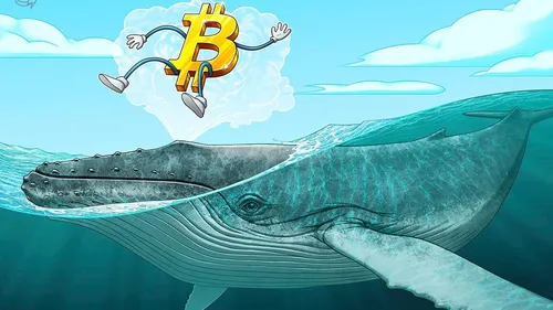 Imagem notícia de Cointelegraph