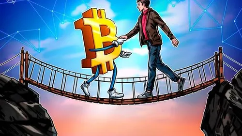 Imagem notícia de Cointelegraph