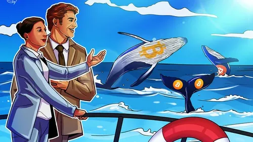 Imagem notícia de Cointelegraph