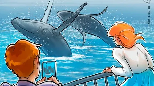 Imagem notícia de Cointelegraph