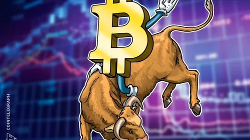 Imagem notícia de Cointelegraph