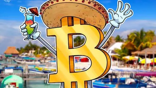 Imagem notícia de Cointelegraph