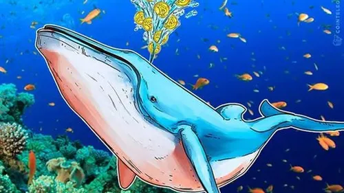 Imagem notícia de Cointelegraph