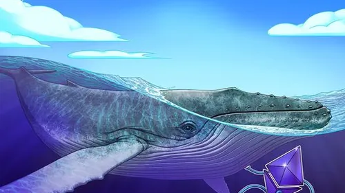 Imagem notícia de Cointelegraph