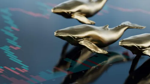 Imagem notícia de Livecoins