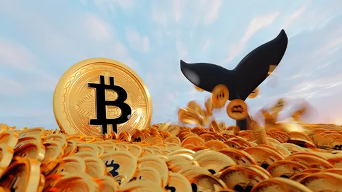 Imagem notícia de Livecoins