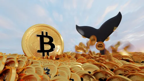 Imagem notícia de Portal do Bitcoin